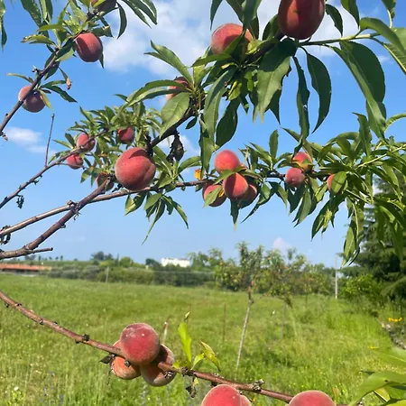Farma Gaia Lonato
